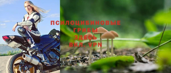 крисы Нефтекумск