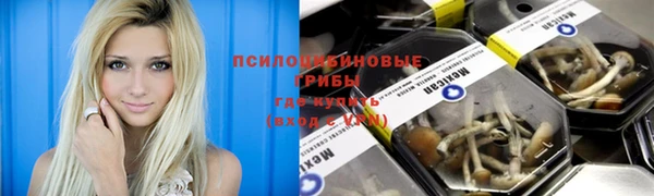 крисы Нефтекумск