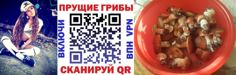 Псилоцибиновые грибы Magic Shrooms  Рыльск 