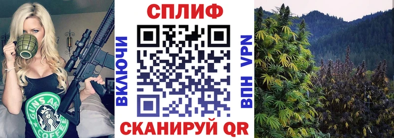 Бошки марихуана SATIVA & INDICA  сколько стоит  Рыльск 